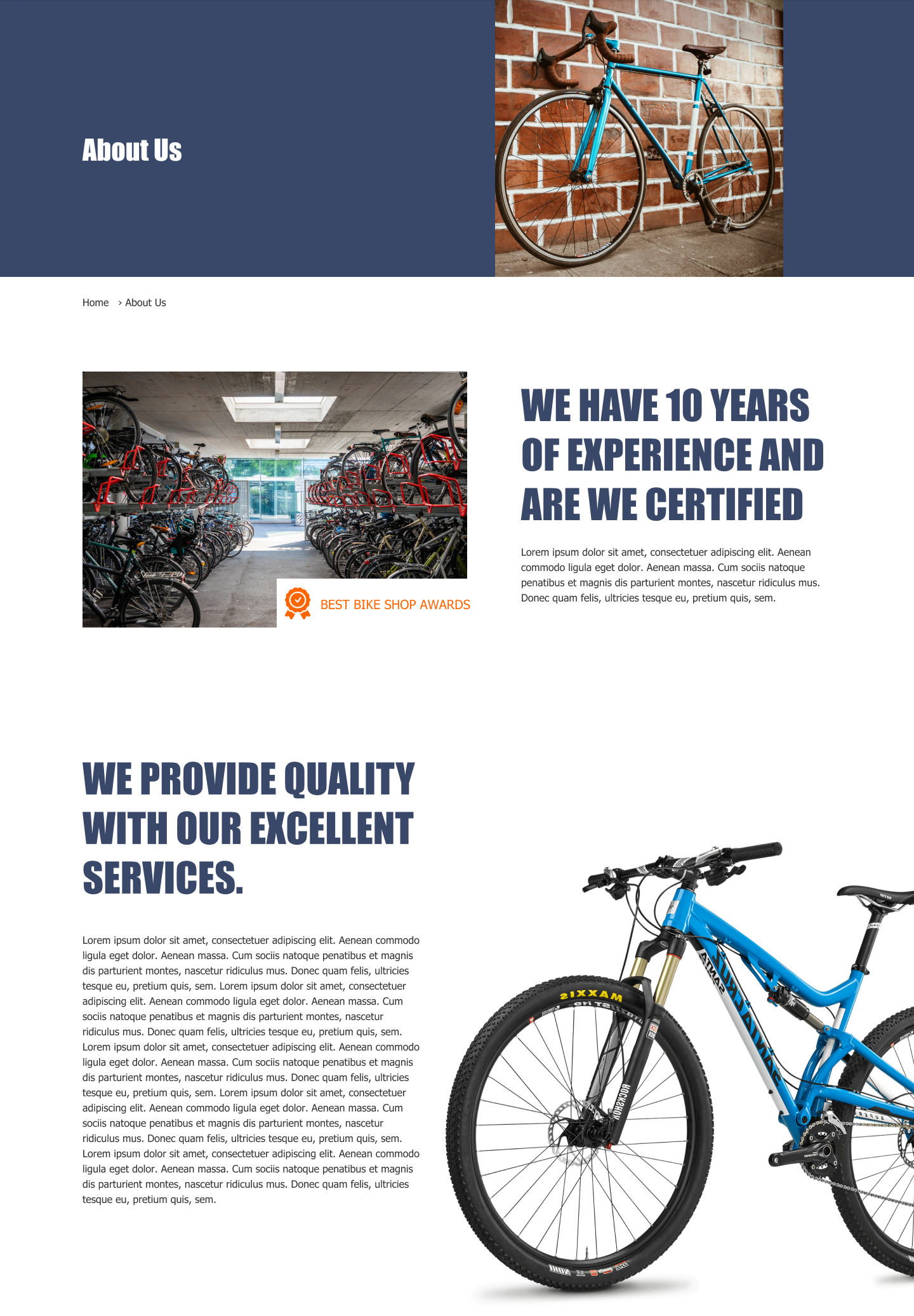 Bearing's Bikes